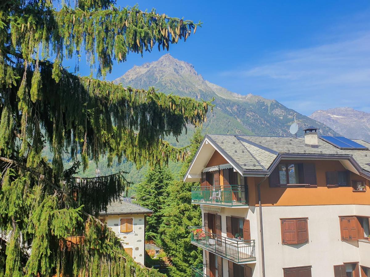 Hotel Fior di Monte Caspoggio Bagian luar foto
